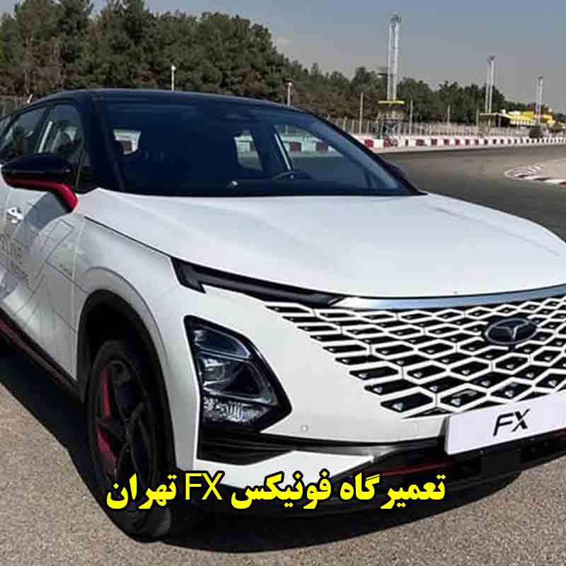 شماره تعمیرگاه فونیکس FX تهران